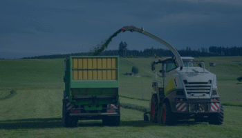 corn silage